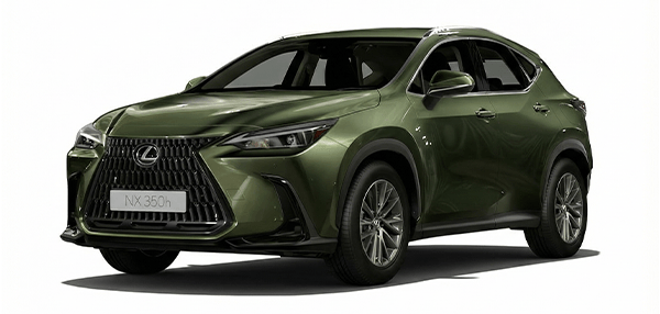 VERDE MUSGO
