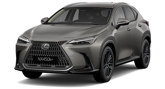 NX Sport CINZA TITÂNIO