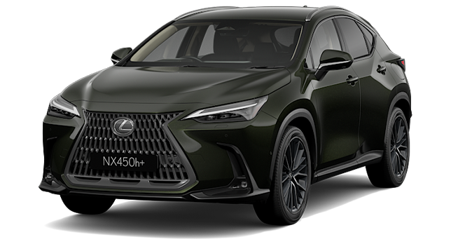 NX Sport VERDE MUSGO