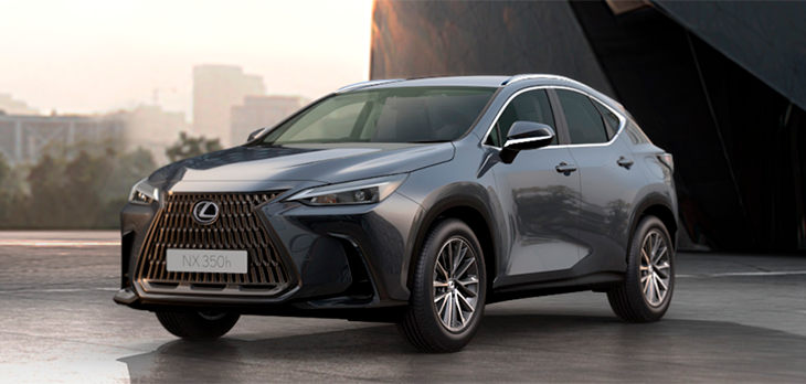 NX Dynamic Cinza Cromo