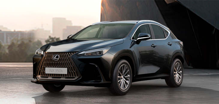 NX Dynamic Preto Grafite