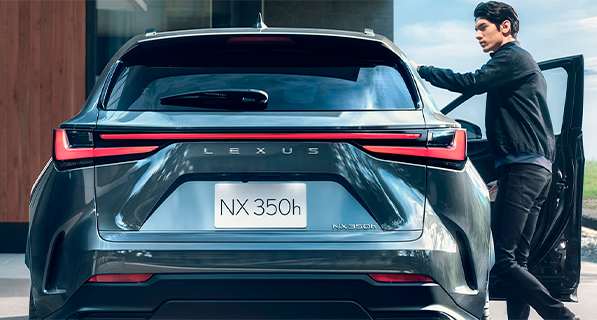 NX Luxury galeria 11