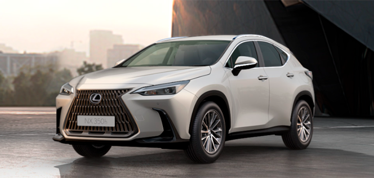 NX Sport Cinza Titânio