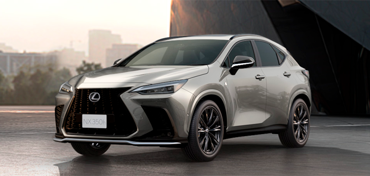 NX Sport Cinza Cromo