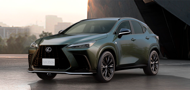 NX Sport Verde Musgo