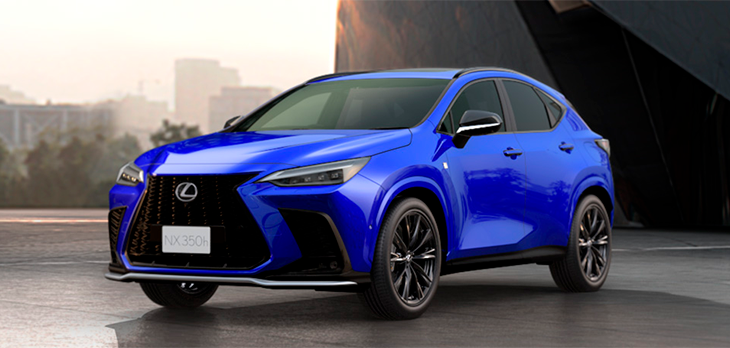 NX Sport Azul Olimpio