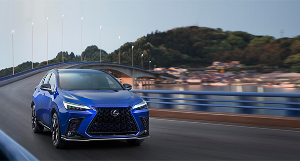 NX Sport galeria 001